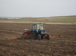 В Тамбовской области снова будут добывать торф