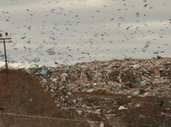 В федеральную схему обращения с ТКО в Тамбовской области включили только объекты скандального «КомЭка»