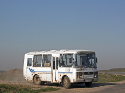 В населённых пунктах Тамбовского района сократили автобусные рейсы