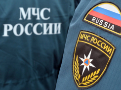 Региональное МЧС РФ завело аккаунт в ТикТоке