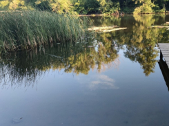 В Тамбовской области за год расчистят от мусора почти 140 километров речных берегов