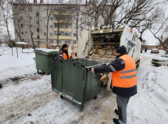 «Тамбовская сетевая компания» напоминает жителям региона о правилах обращения с ТКО в новогодние праздники