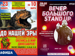 Культурная жизнь возвращается в Тамбов: спектакли, выставки, выступления. Часть 2