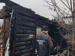 В Сампурском округе в огне погиб 52-летний мужчина