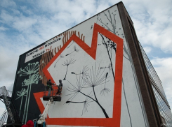 В Тамбове по инициативе поискового отряда «ЛизаАлерт» появится ещё один мурал 