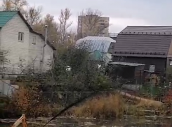 Тамбовские дачники сообщили о том, что старицы Цны чистят неправильно