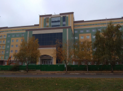 Перинатальный центр на Рылеева готов на 85 процентов 