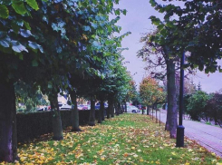 К выходным в регионе потеплеет на 10 градусов