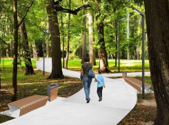 На голосовании за благоустройство пространств в Тамбове лидирует дизайн-проект Ахлебиновской рощи