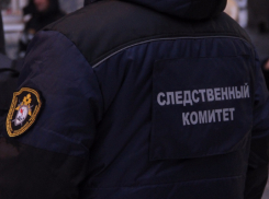 В Пичаевском округе пенсионер убил родственника поленом