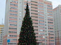 В Тамбове во дворах многоэтажек установят более 100 новогодних ёлок