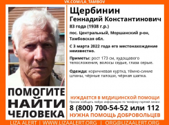 В регионе ищут пропавшего 83-летнего пенсионера