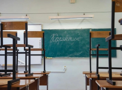 В школах, ВУЗах и техникумах региона объявлен карантин