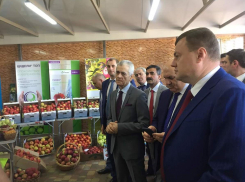 Александр Никитин открыл День садовода в Мичуринске