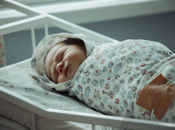 В апреле в Тамбове появились Аврора, Златослава и Аристарх