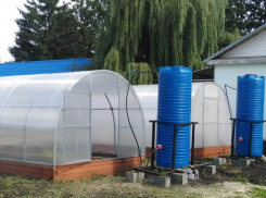 SMART-системы для теплиц с редкими растениями апробируют в ТГУ 