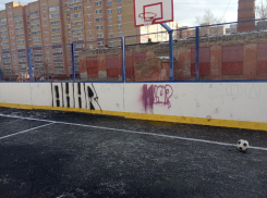 Новую многофункциональную площадку на улице Сенько в Тамбове уже успели изуродовать