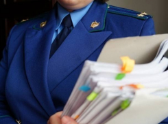Полномочия депутатов сельсоветов прекращены из-за нарушения закона «О противодействии коррупции»
