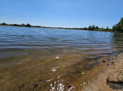 Известны подробности захвата пляжа на юге Тамбова 