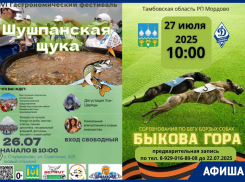 Фестивали и активный отдых: афиша мероприятий Тамбовской области