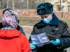 На 19 тамбовчан составлены протоколы за нарушение режима самоизоляции