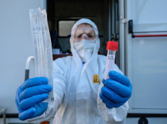 В Тамбовской области зарегистрировано 42 новых случая заражения COVID-19