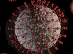 Коронавирусом болеют более 3 000 тамбовчан