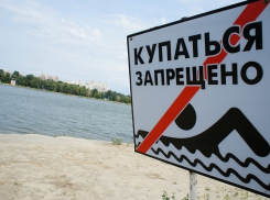 В Тамбовской области запрещено купание на двух водоёмах