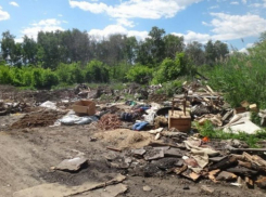 Никифоровский округ заплатит 29 миллионов за несанкционированную свалку