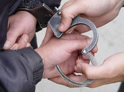 За пинок полицейскому токарёвский пенсионер пойдёт под суд 