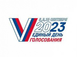 В Тамбовской области на выборах Президента РФ проголосовали почти 65,13 % избирателей
