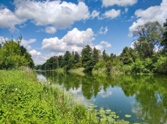 В Воронинском заповеднике появился однодневный маршрут сплава на байдарках