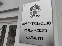 Инвестиции в экономику Тамбовской области сократились на 16,3%