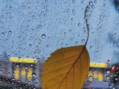 «Бабье лето» в Тамбове начнётся дождями