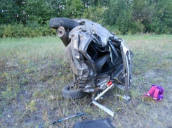 Три человека погибли в страшной аварии под Тамбовом