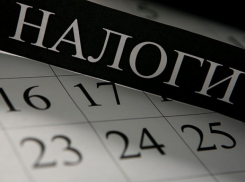 Две трети тамбовских предпринимателей не отчитались о доходах 