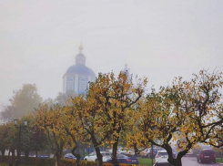 В Тамбове ожидаются заморозки и туман