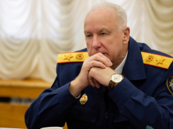 Глава СК России Бастрыкин взял на контроль ситуацию с Токарёвской птицефабрикой