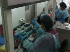 В Тамбове открылась лаборатория для тестирования медиков на COVID-19