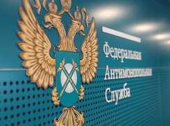 Тамбовское УФАС выступило против того, чтобы тамбовчане платили из своего кармана за уборку территорий муниципалитета