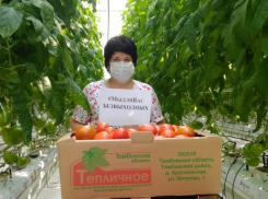 Новый бренд «Тамбовский томат» поучаствует в национальном конкурсе «Вкусы России» 