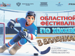 В Притамбовье состоится фестиваль по хоккею с мячом в валенках
