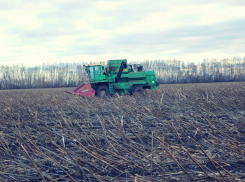 В Тамбовском районе будут судить инженера за гибель комбайнёра в селе Орловка