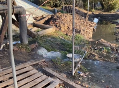 Представители администрации Тамбова, Минэкологии и «РКС-Тамбов» обсудили загрязнение Цны 