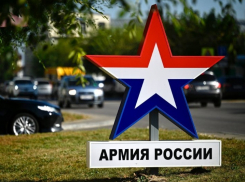 В Тамбове запустили «горячую линию» по вопросам о спецоперации