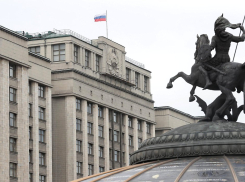 Тамбовские депутаты Госдумы распределились по профильным комитетам