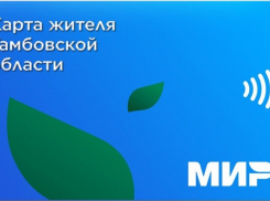 В Тамбовской области планируют ввести пластиковую карточку жителя региона