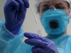 За сутки в Тамбовской области выявлено 45 новых случаев заболевания COVID-19