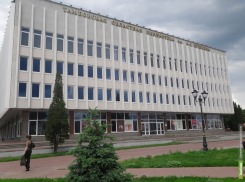 Пушкинская библиотека поможет скрасить «коронадосуг»
