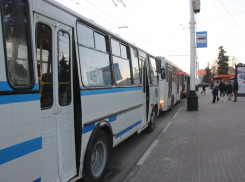 В Тамбове маршрут 8 автобуса продлят до Бокино